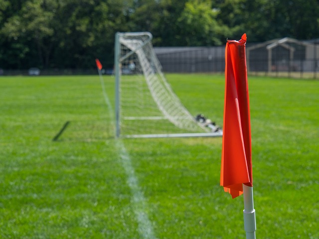 建了强大的 建了强大的