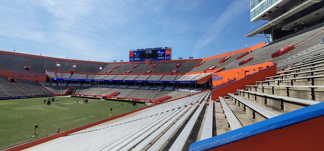 都集中在 都集中在