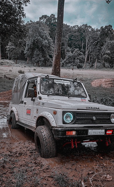 巴西传统风 巴西传统风